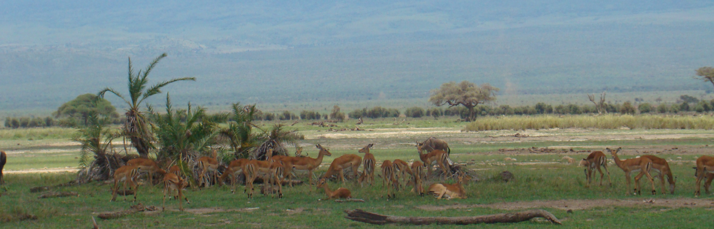 Home of the African Elephant
