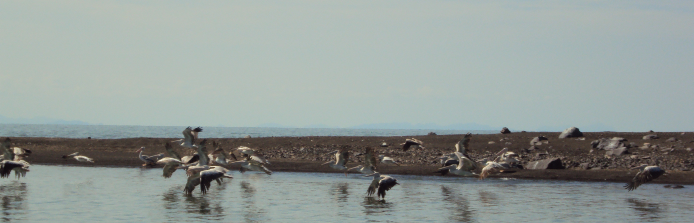 The Gem of Lake Turkana