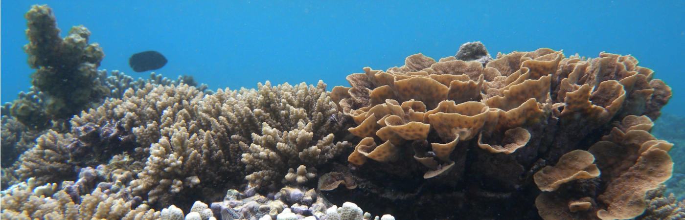 Allure of natural beauty