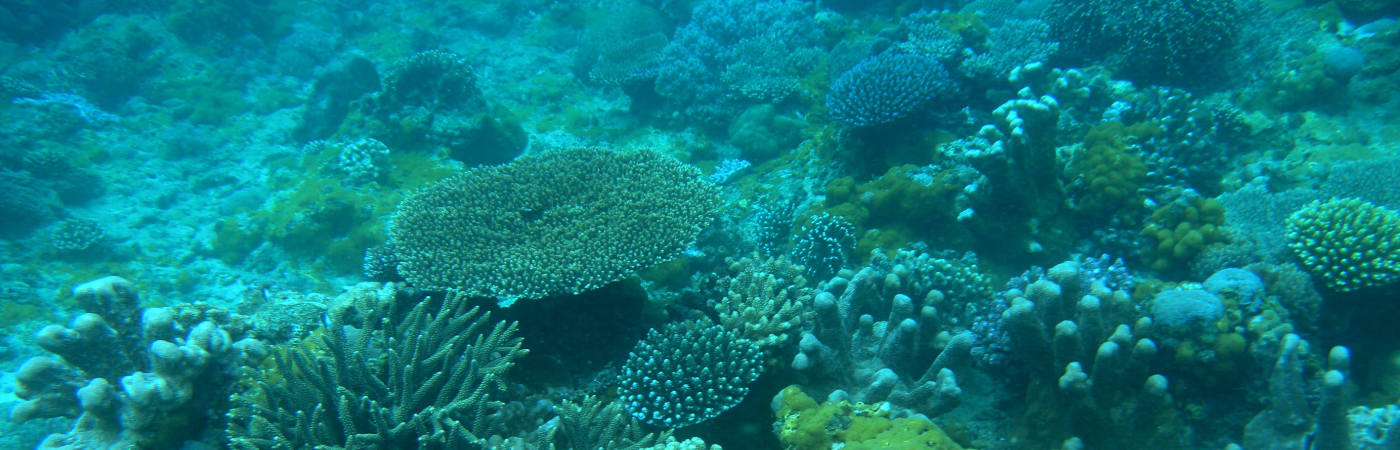 Allure of natural beauty