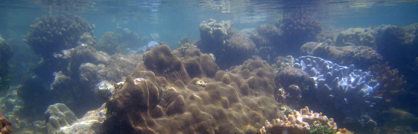 Allure of natural beauty