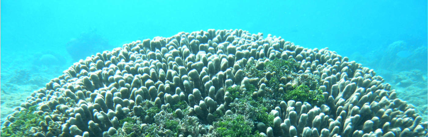 Allure of natural beauty