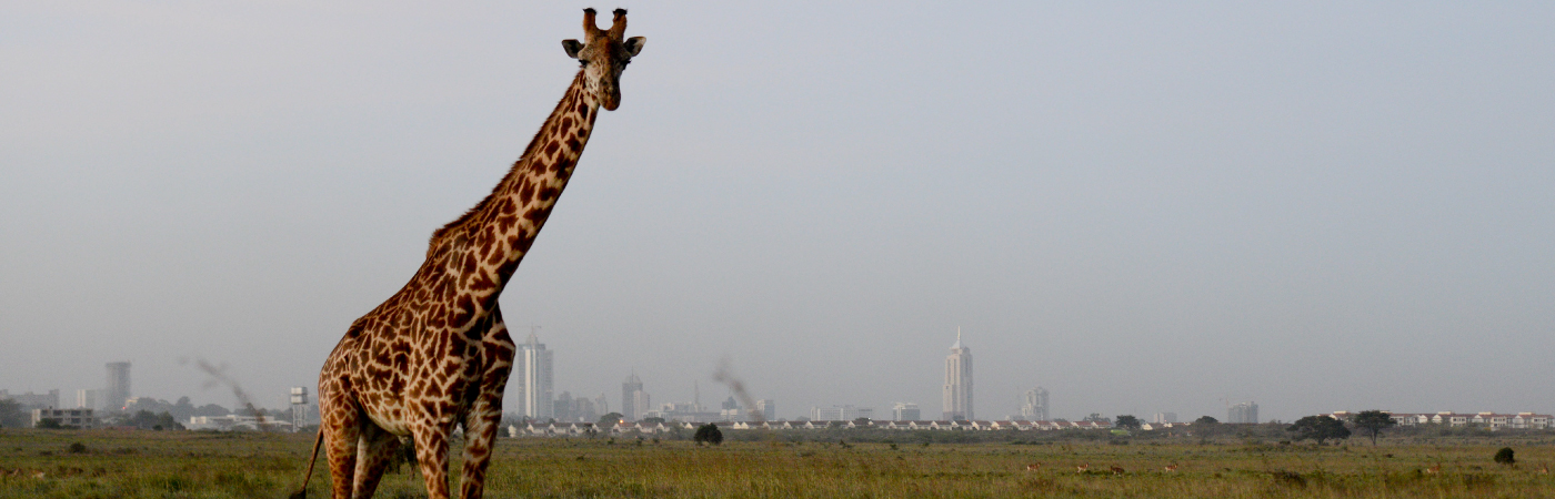 The World’s only Wildlife Capital