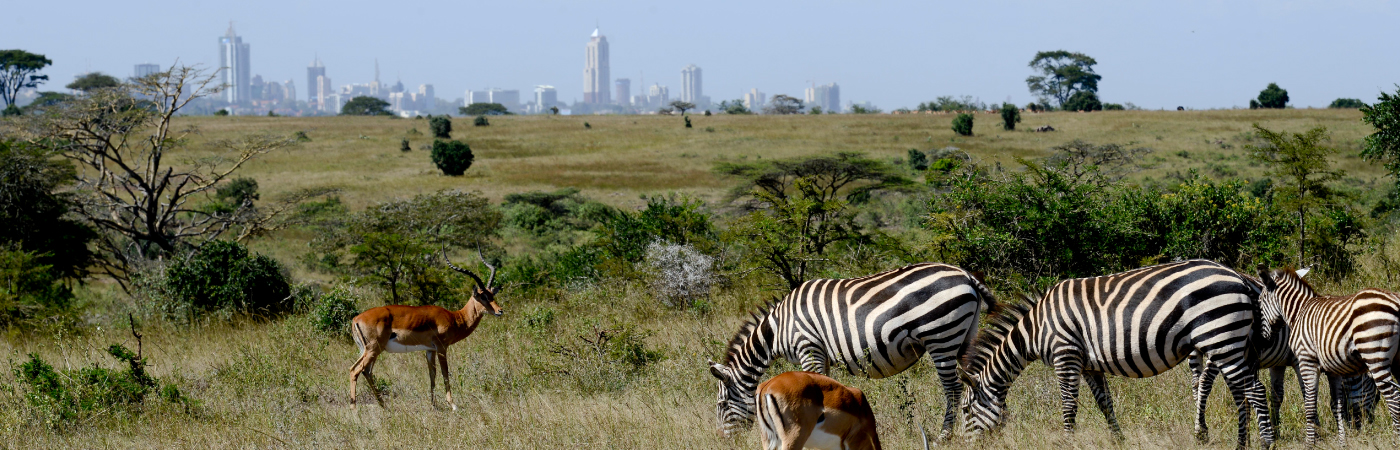 The World’s only Wildlife Capital