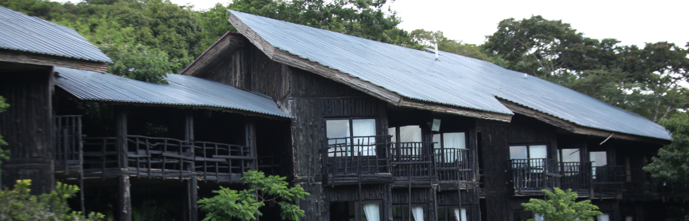 Paradise of the Sable antelope