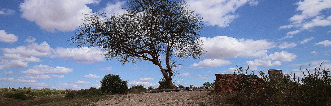 Theatre of the Wild