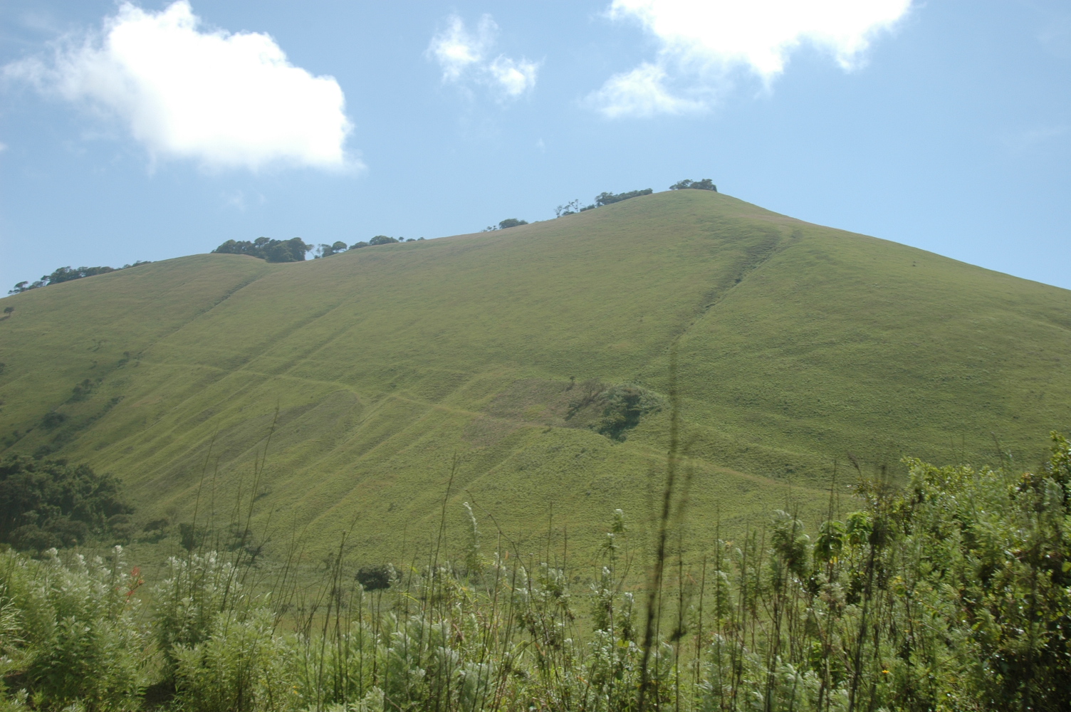 Green Hills of Africa