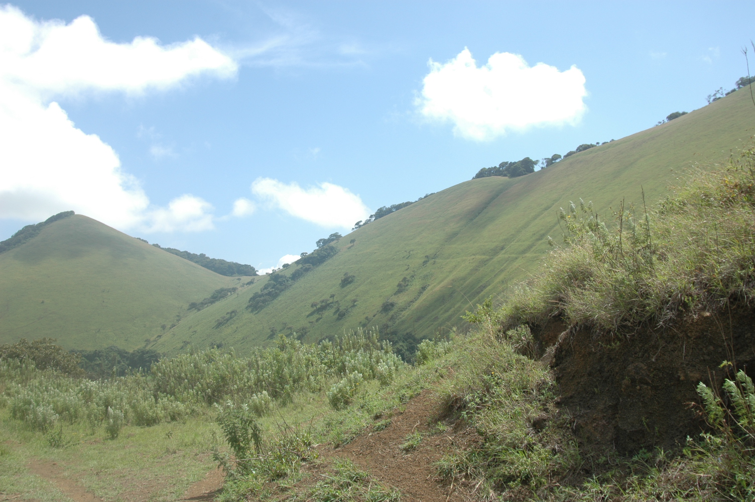 Home of the African Elephant