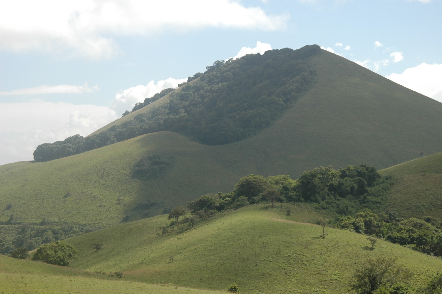 Green Hills of Africa