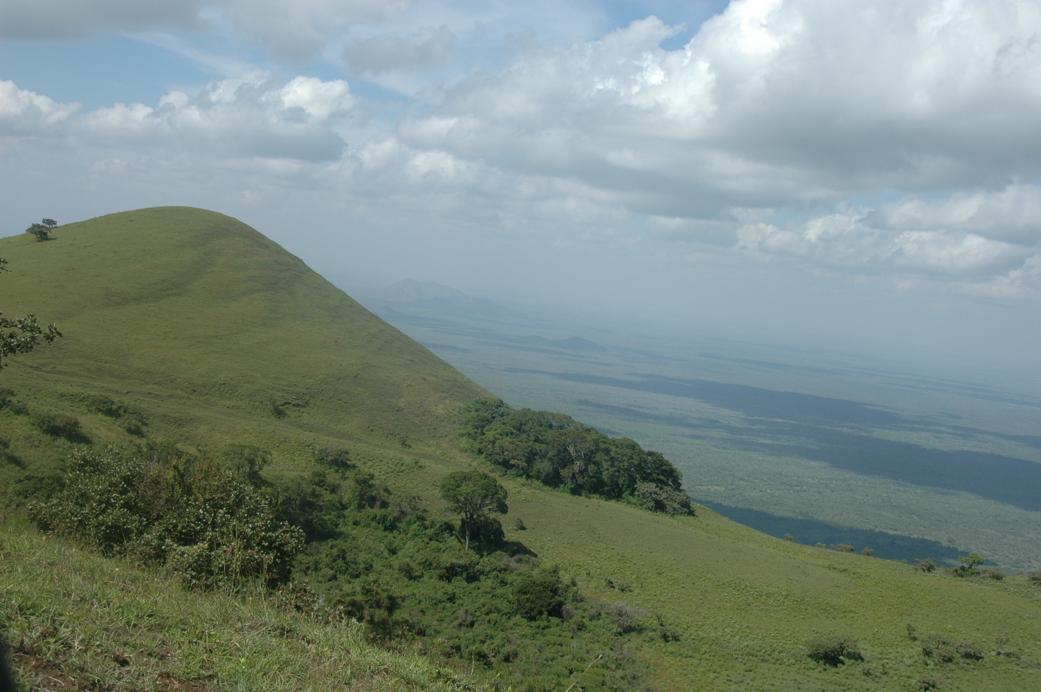 Green Hills of Africa