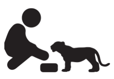 Adopt an Animal