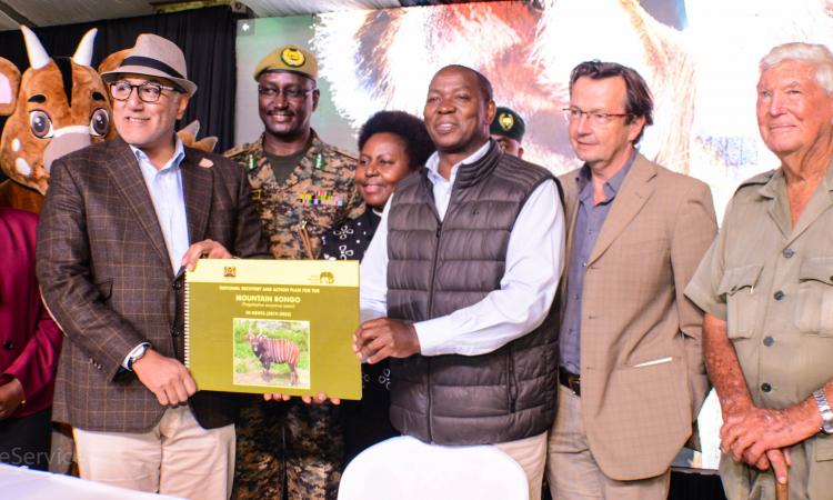 KWS LAUNCHES THE NATIONAL RECOVERY AND ACTION PLAN FOR THE MOUNTAIN BONGO (2019-2023)