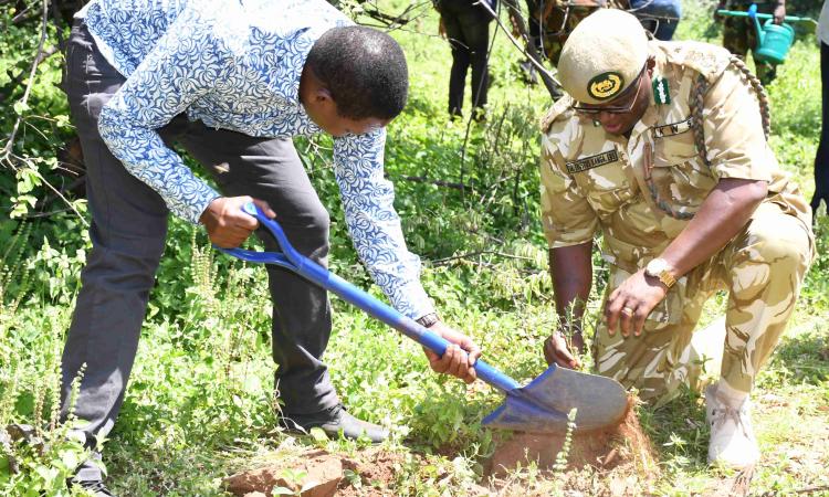 Dr. Mutua Tree planting
